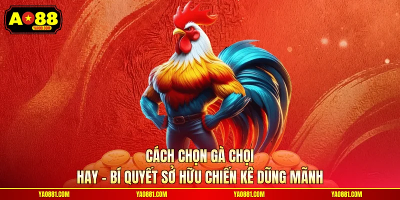 Cách Chọn Gà Chọi Hay – Bí Quyết Sở Hữu Chiến Kê Dũng Mãnh